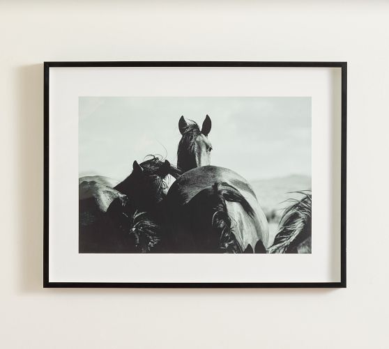 Spirit of the West by Meg Haywood Sullivan Pottery Barn