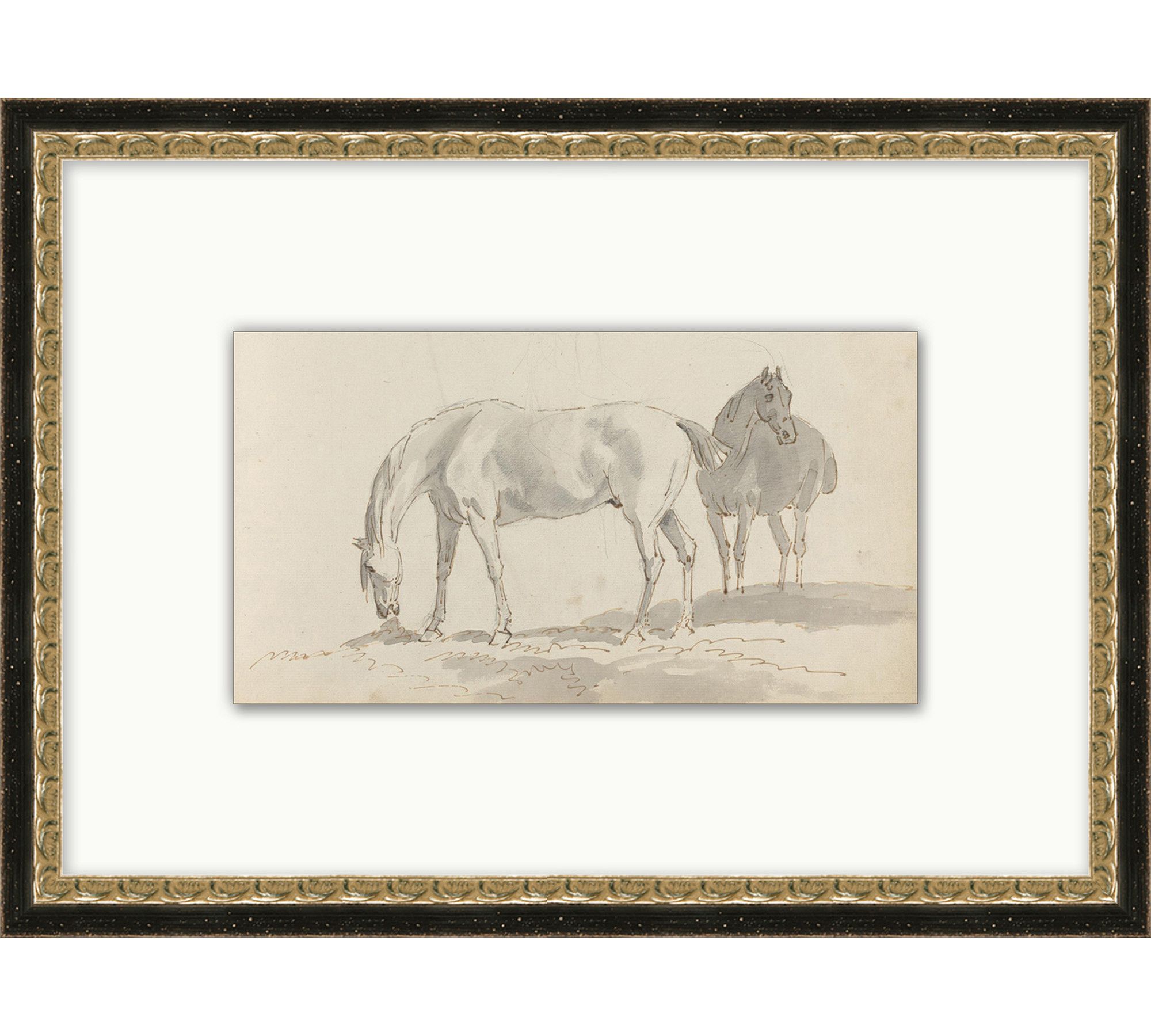 Sketched Horses Framed Print