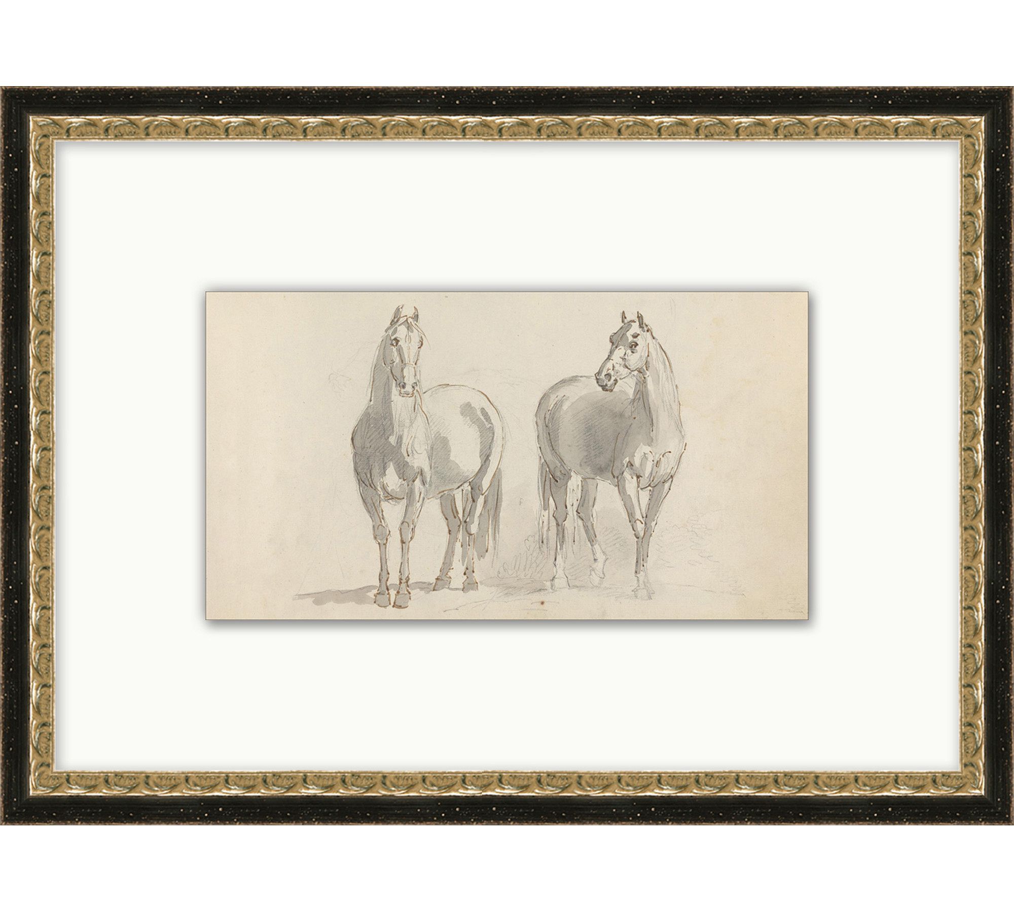 Sketched Horses Framed Print