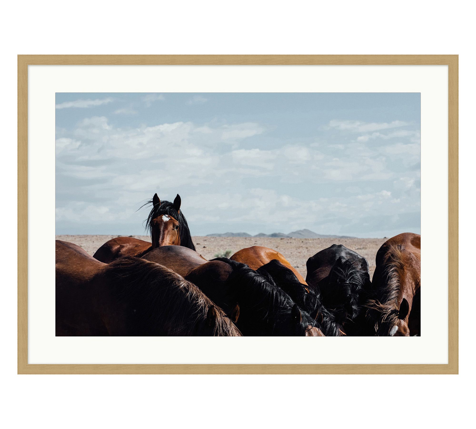 Pine Nut Mustangs by Meg Haywood Sullivan