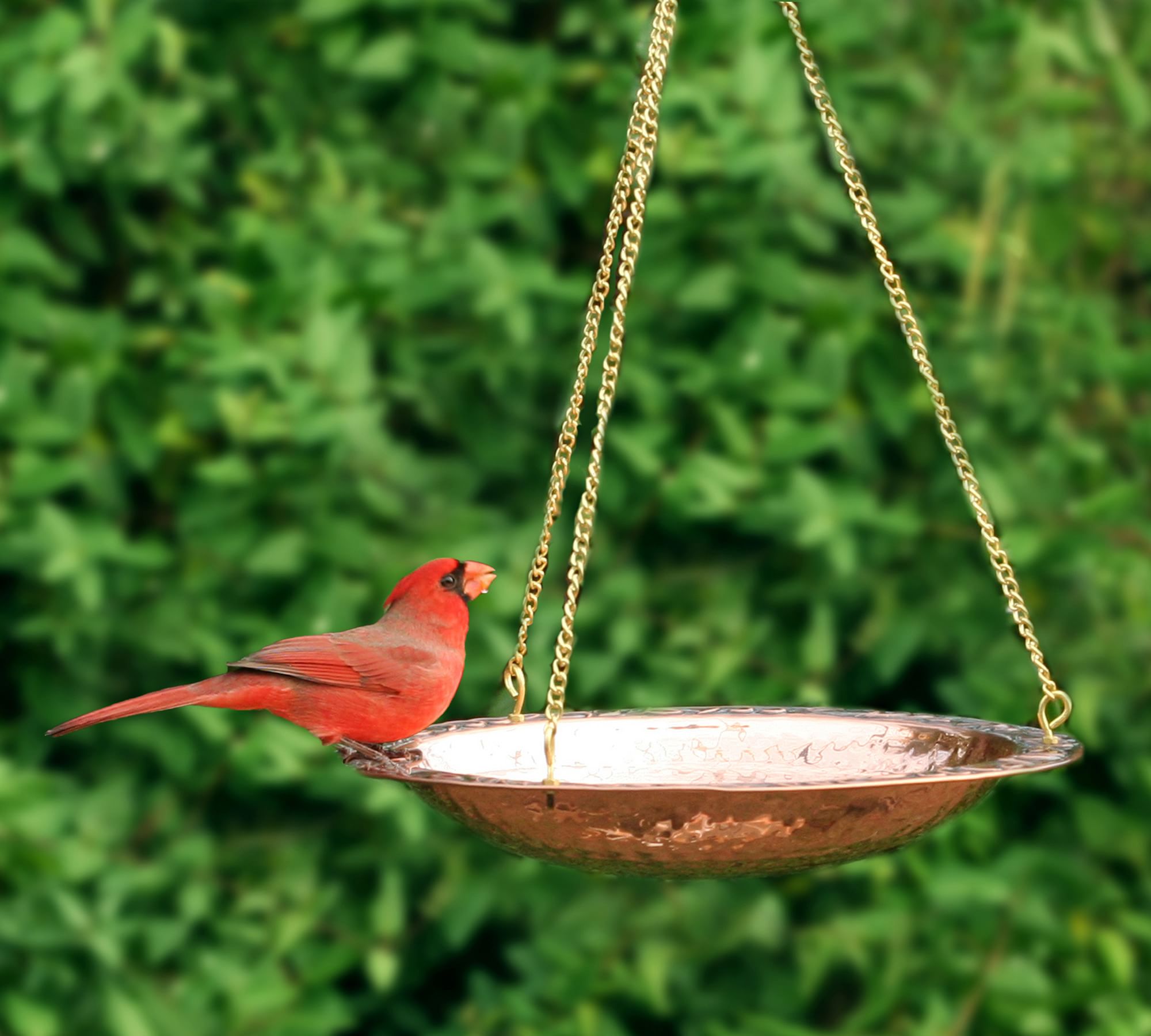 Hanging Copper Bird Bath