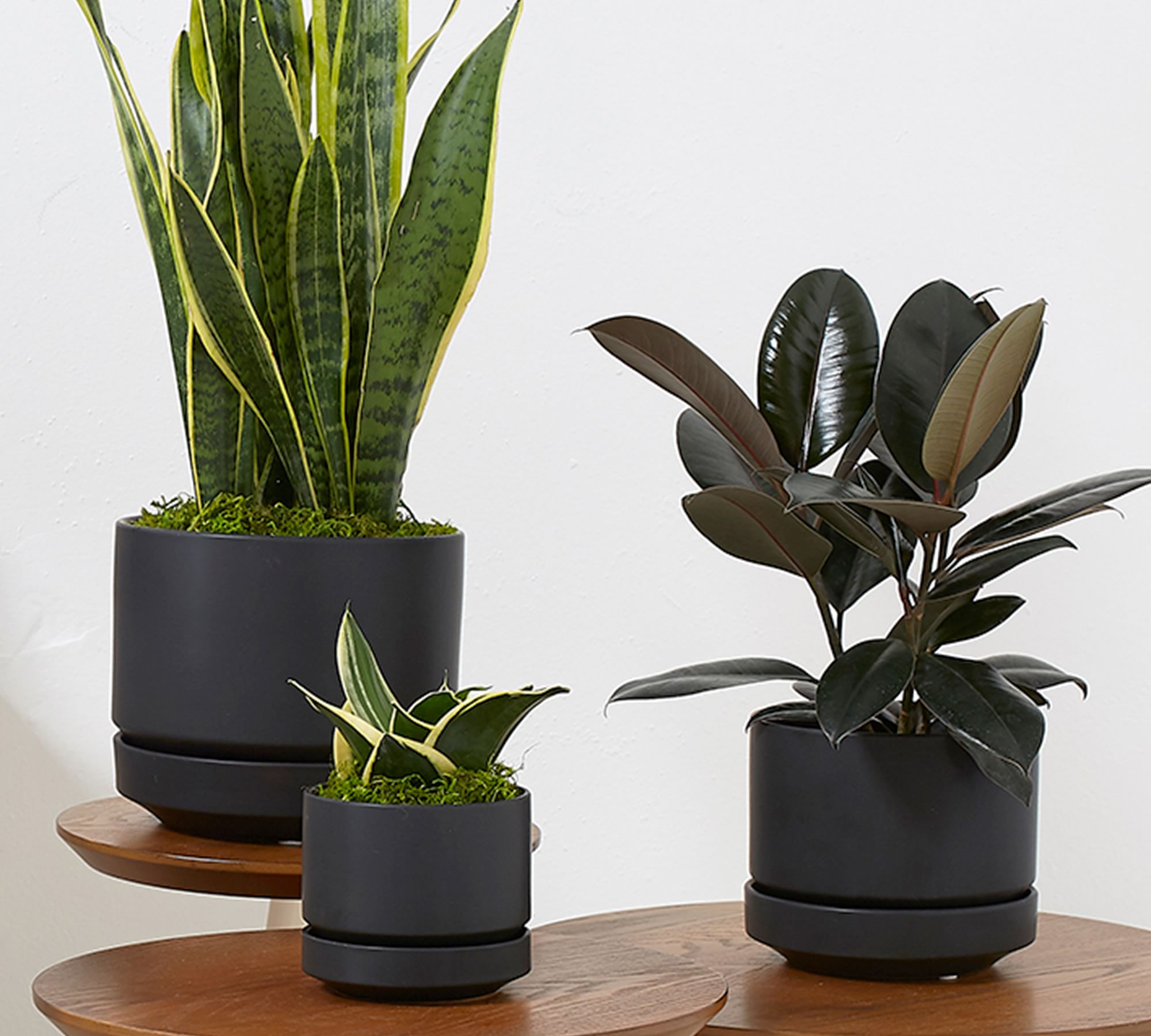 Modern Black Ceramic Planter