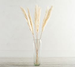 Dried Pampas Grass Branches - Set of 3