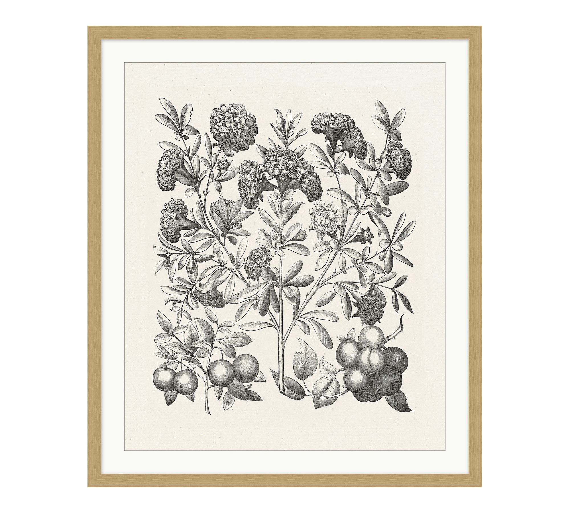 Illustrated Floral Shades Framed Print