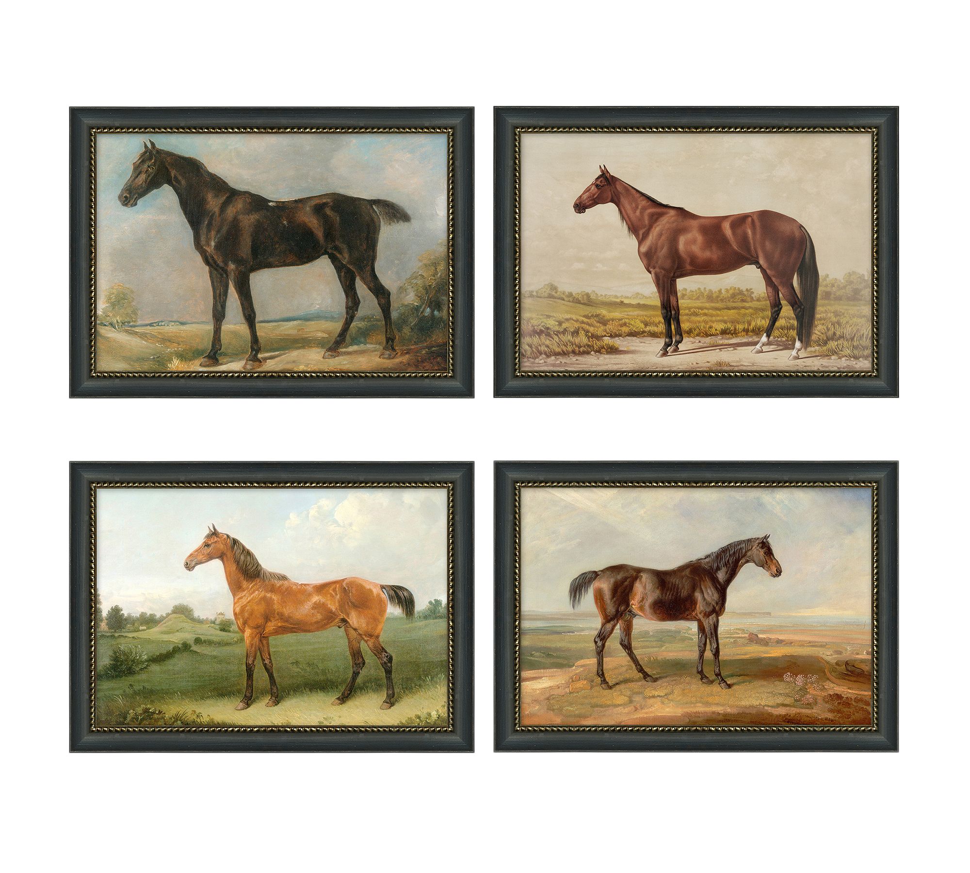 Apollo, Jasper, Samson, Hazel Framed Prints