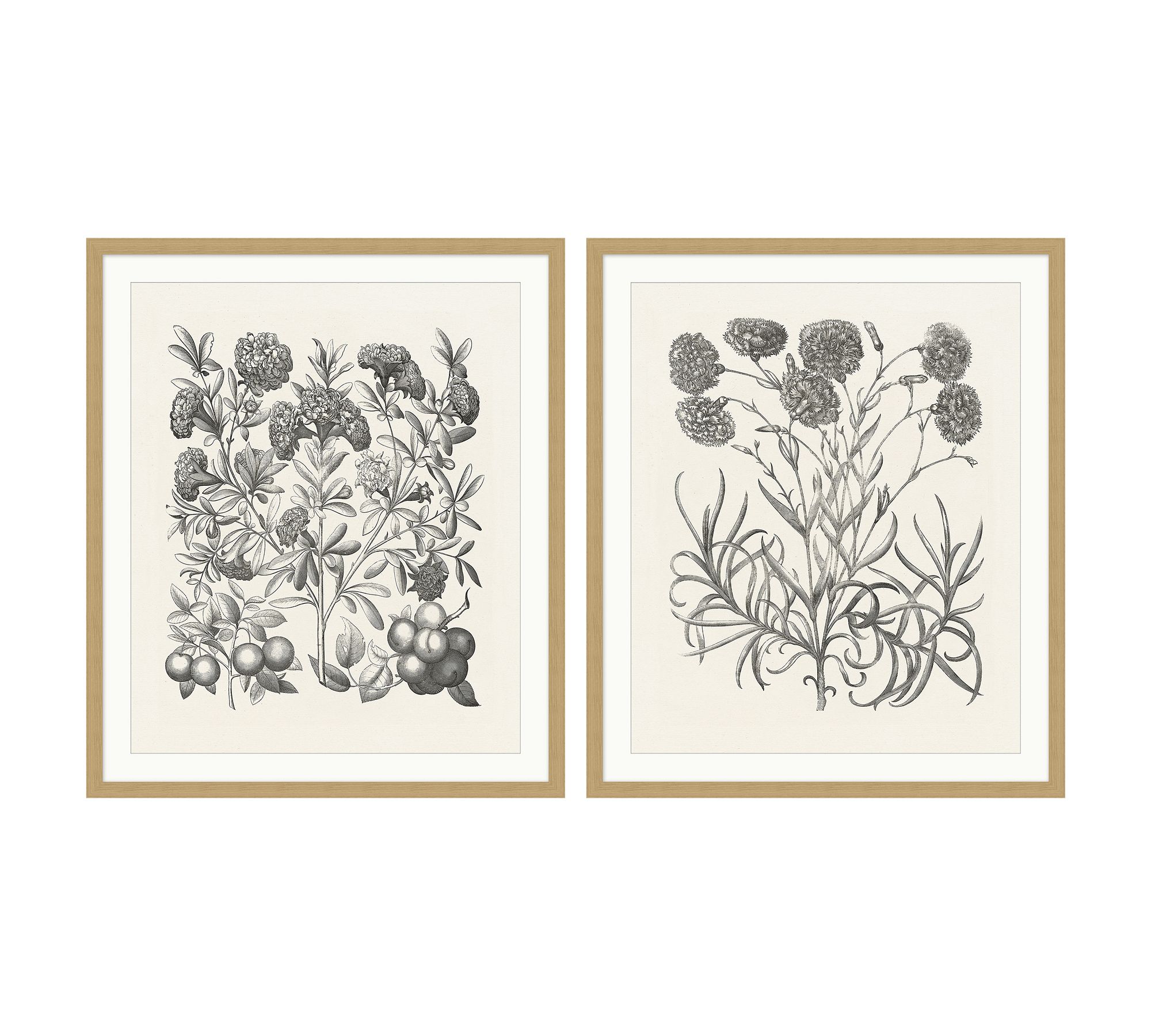 Illustrated Floral Shades Framed Print