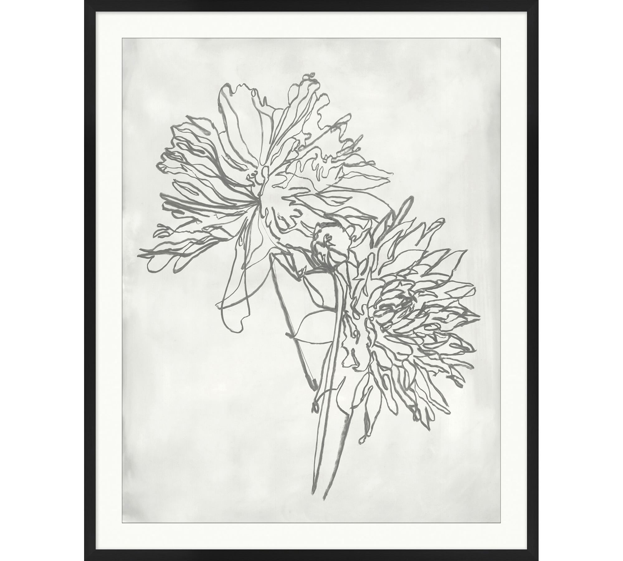 Blooming Sketch Framed Print