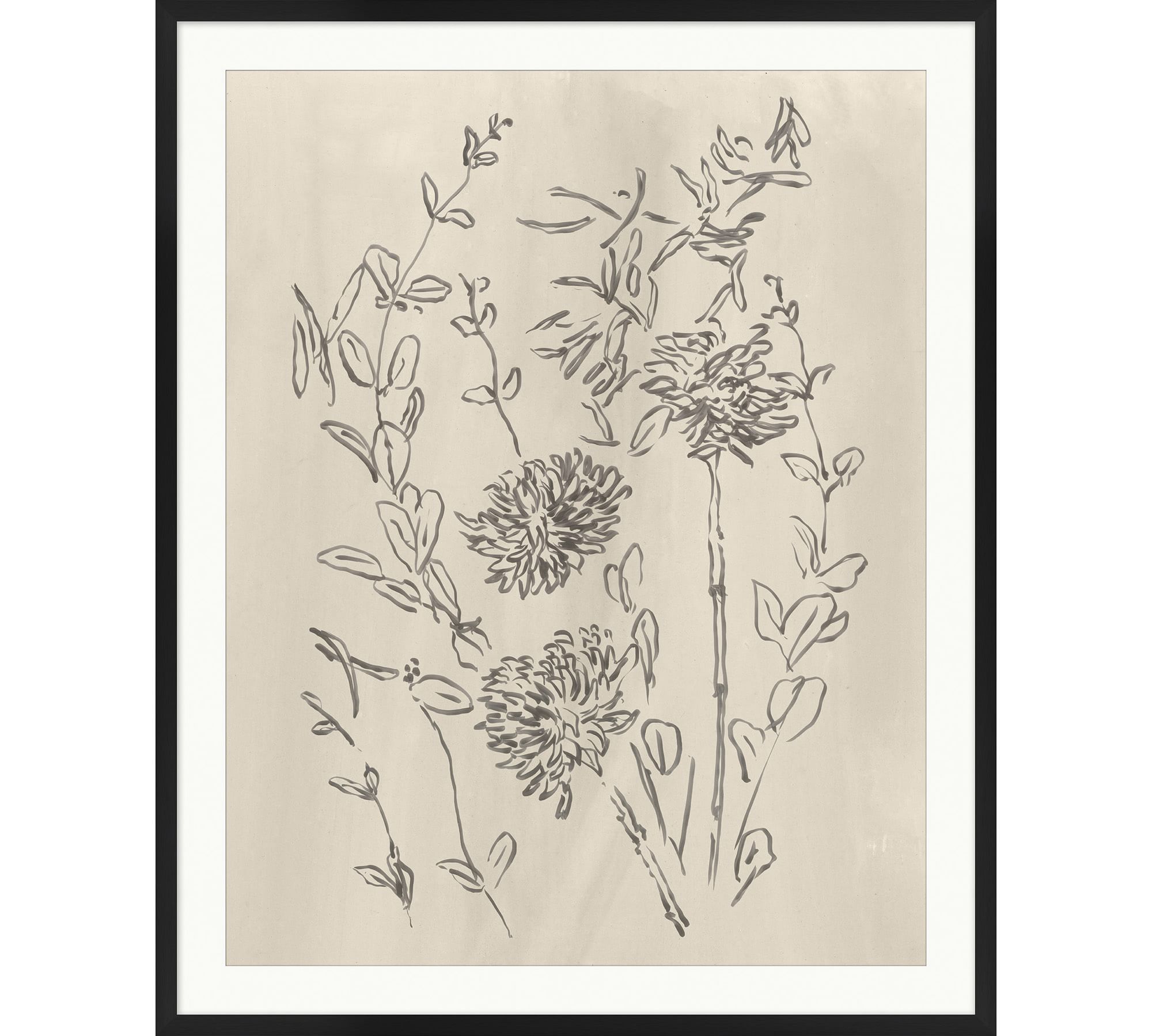 Blooming Sketch Framed Print