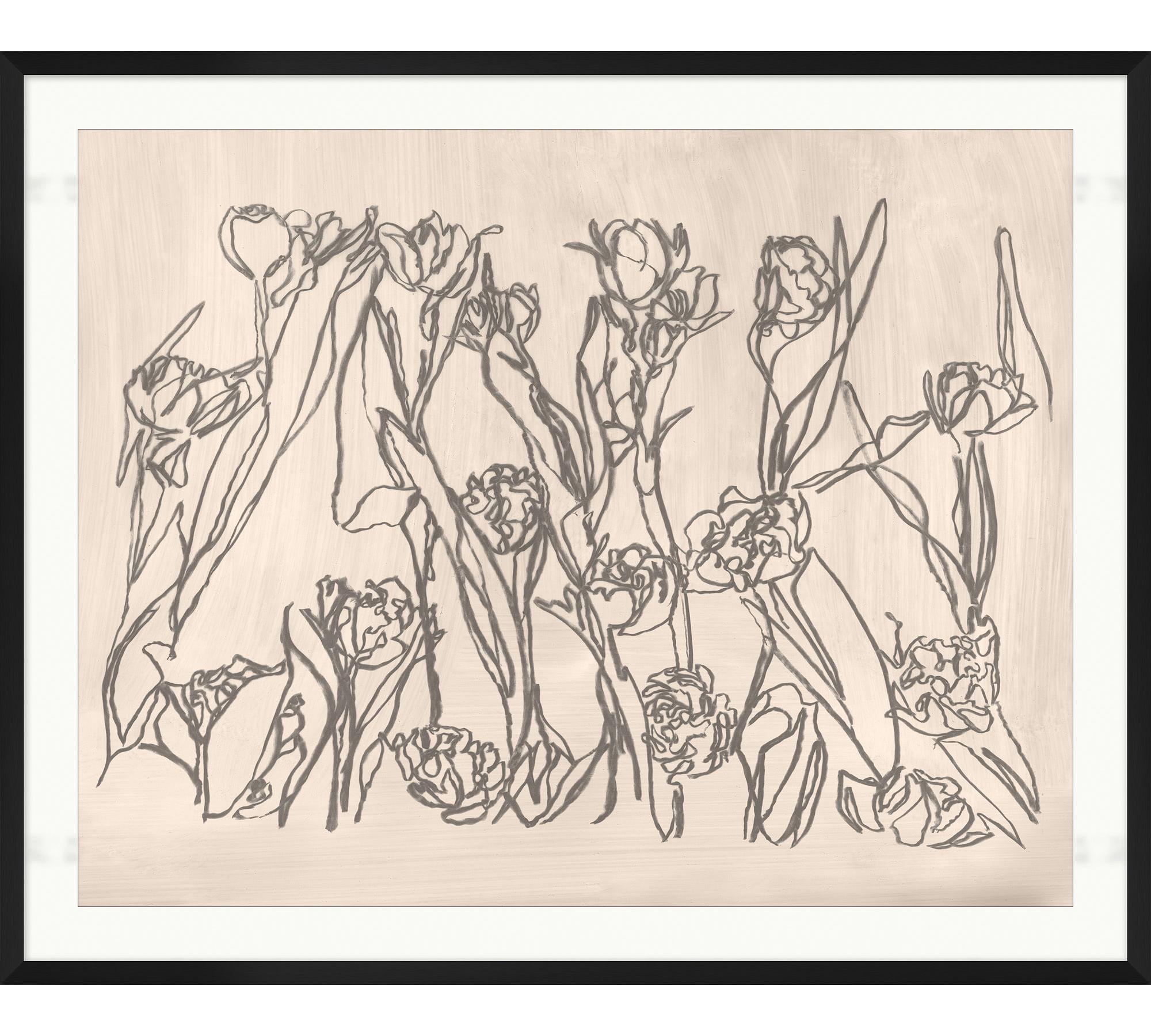 Blooming Sketch Framed Print