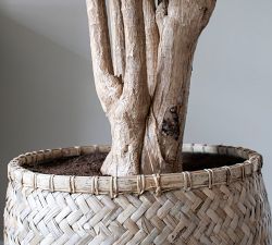 Handwoven Bohemian Cylinder Indoor/Outdoor Planter