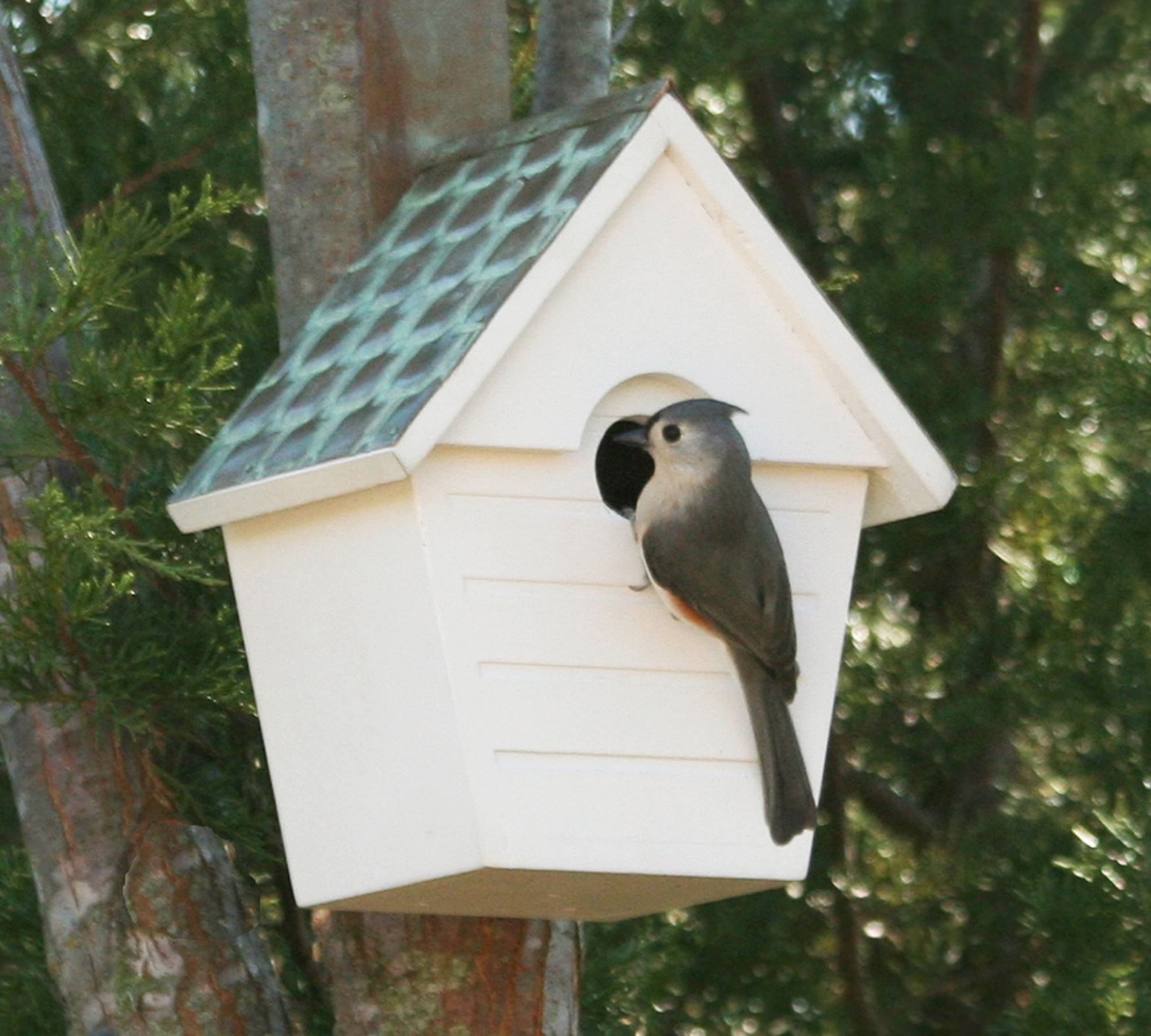 Aurelia White Bird House