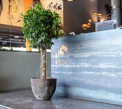 Lightweight Short Tapered Ficonstone Planter