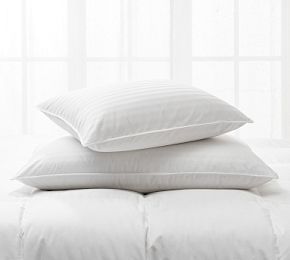 Luxury 700FP European White Goose Down Pillow | Pottery Barn