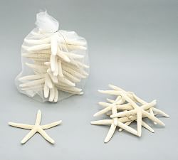 Linka Starfish - Set of 12