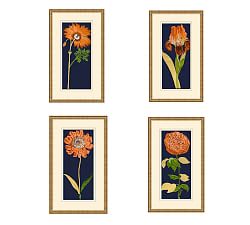 Gold Leaf Flower Framed Prints