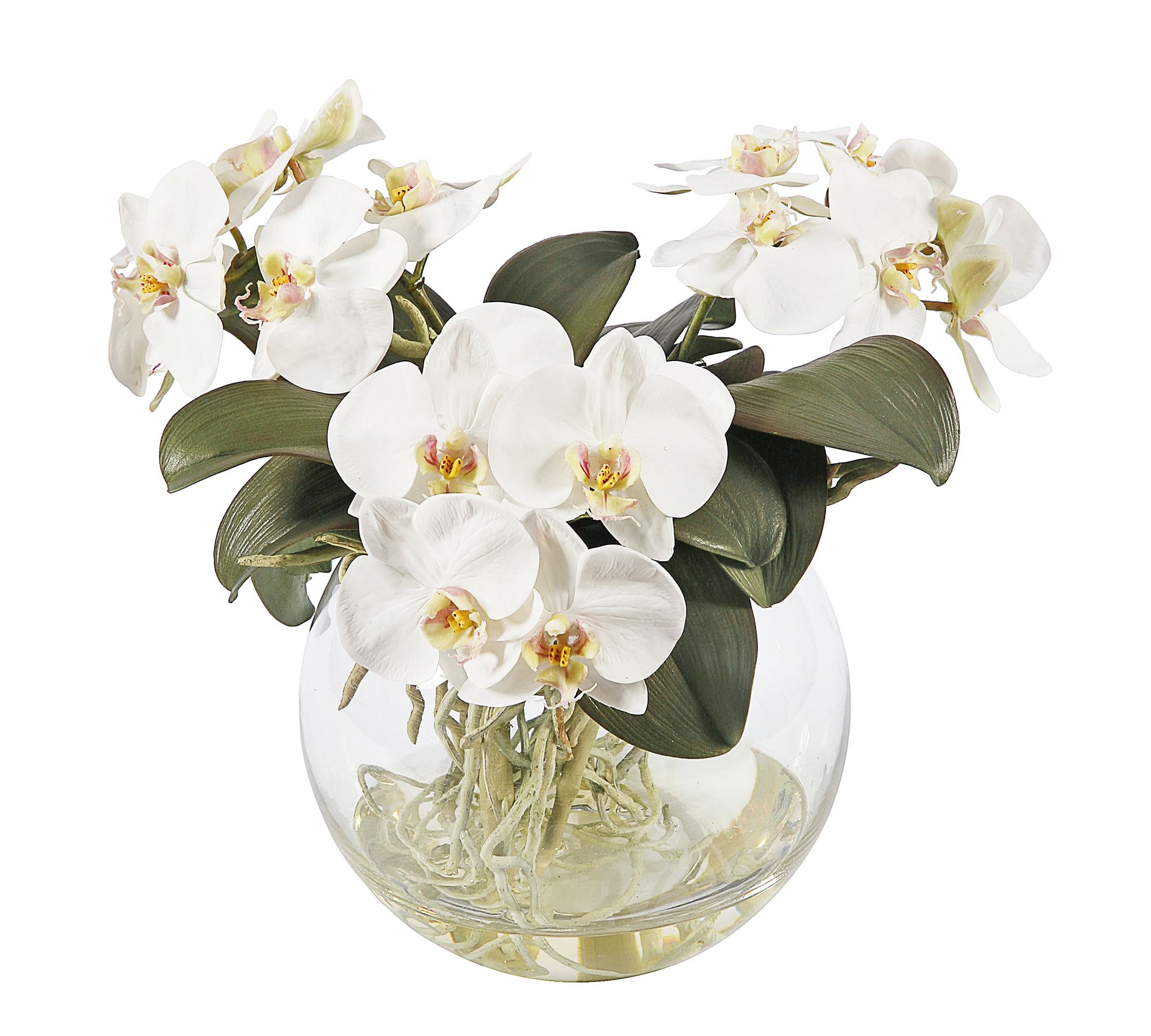 Faux Orchid Phalaenopsis Arrangement in Pot