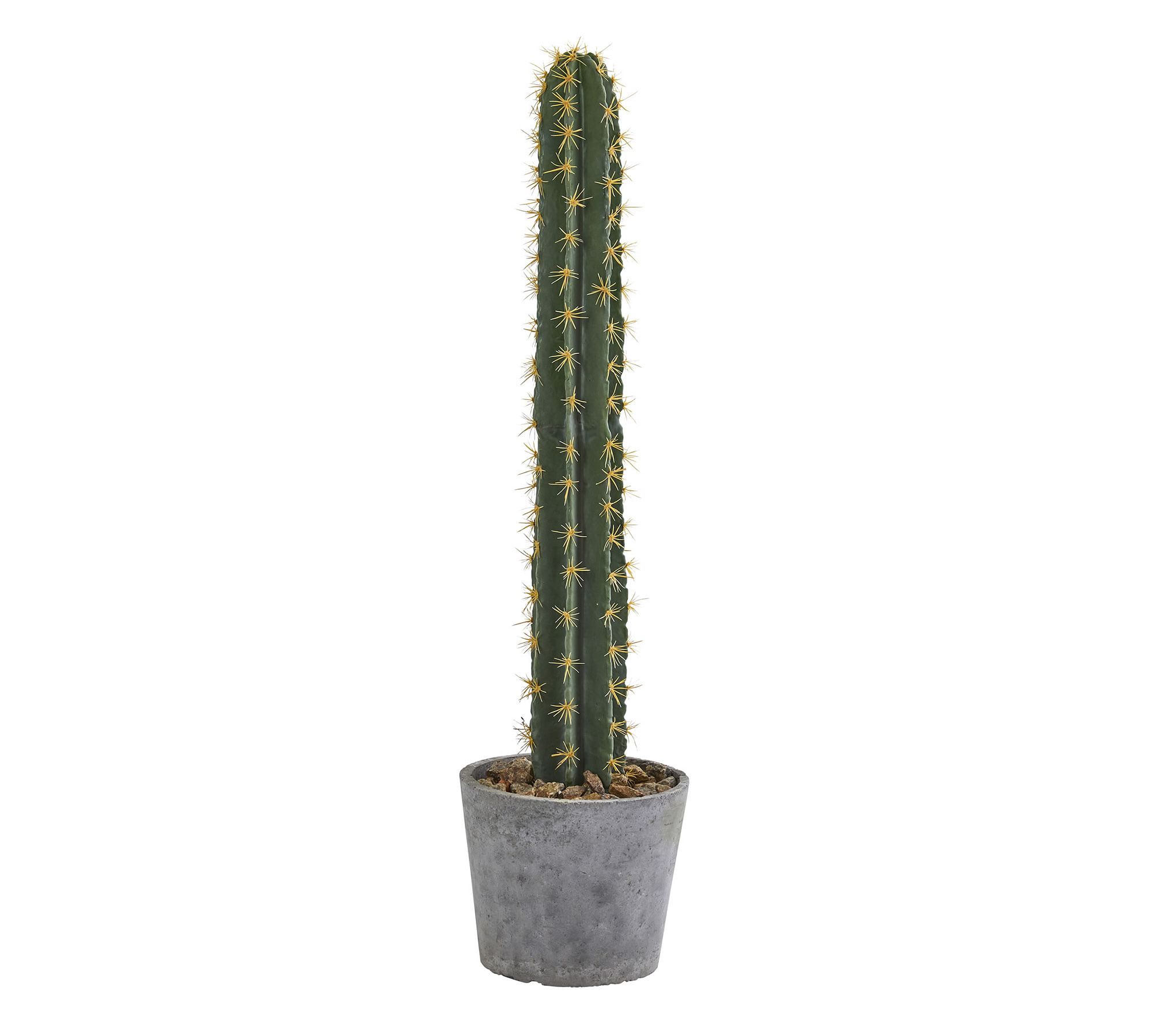 Faux Cactus