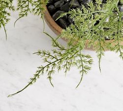 Faux Asparagus Fern