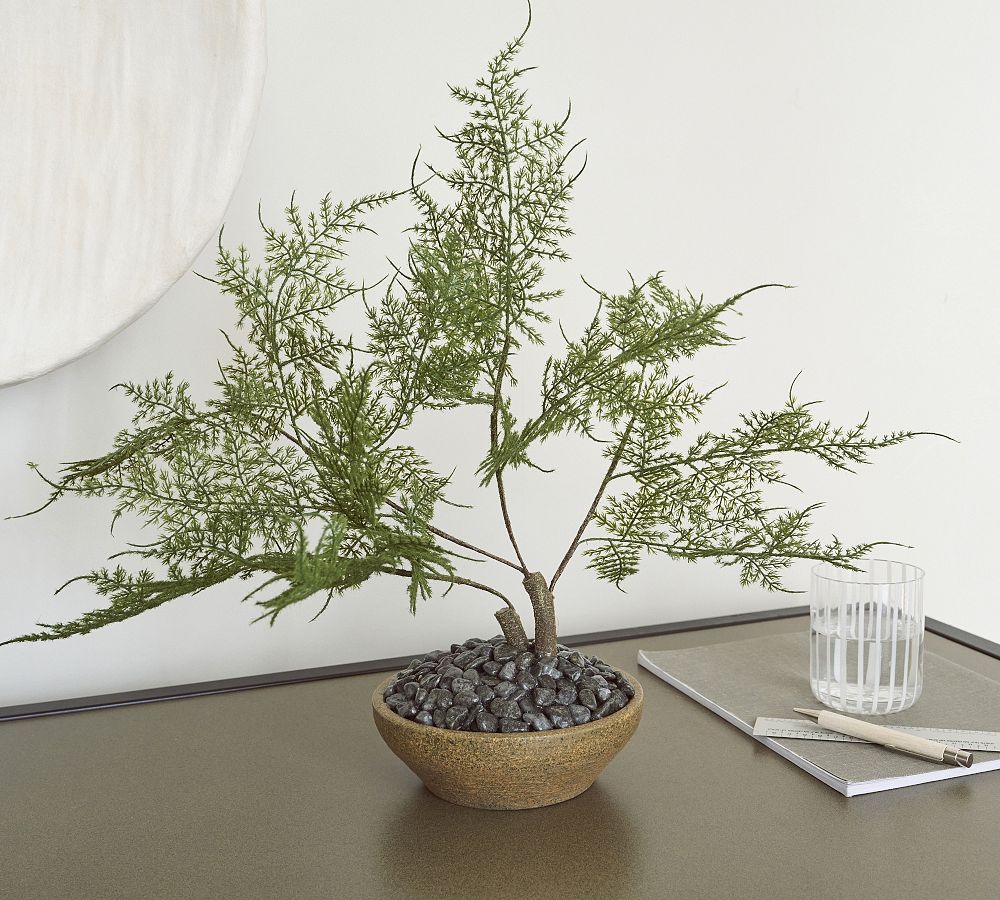 Faux Asparagus Fern