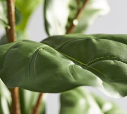 Faux Fiddle Leaf Fig Trees