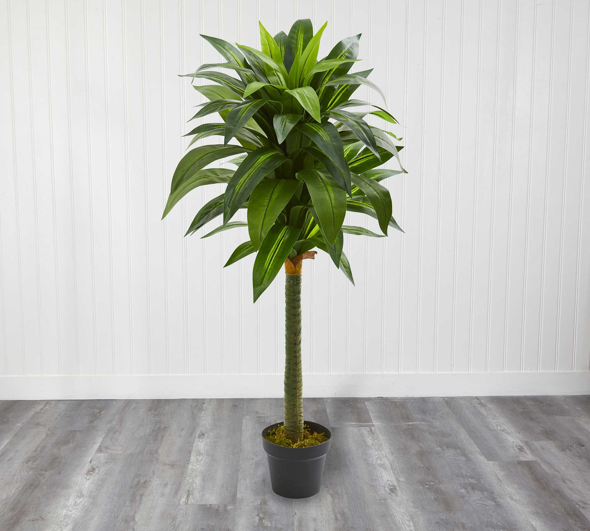 Dracaena Faux Plant