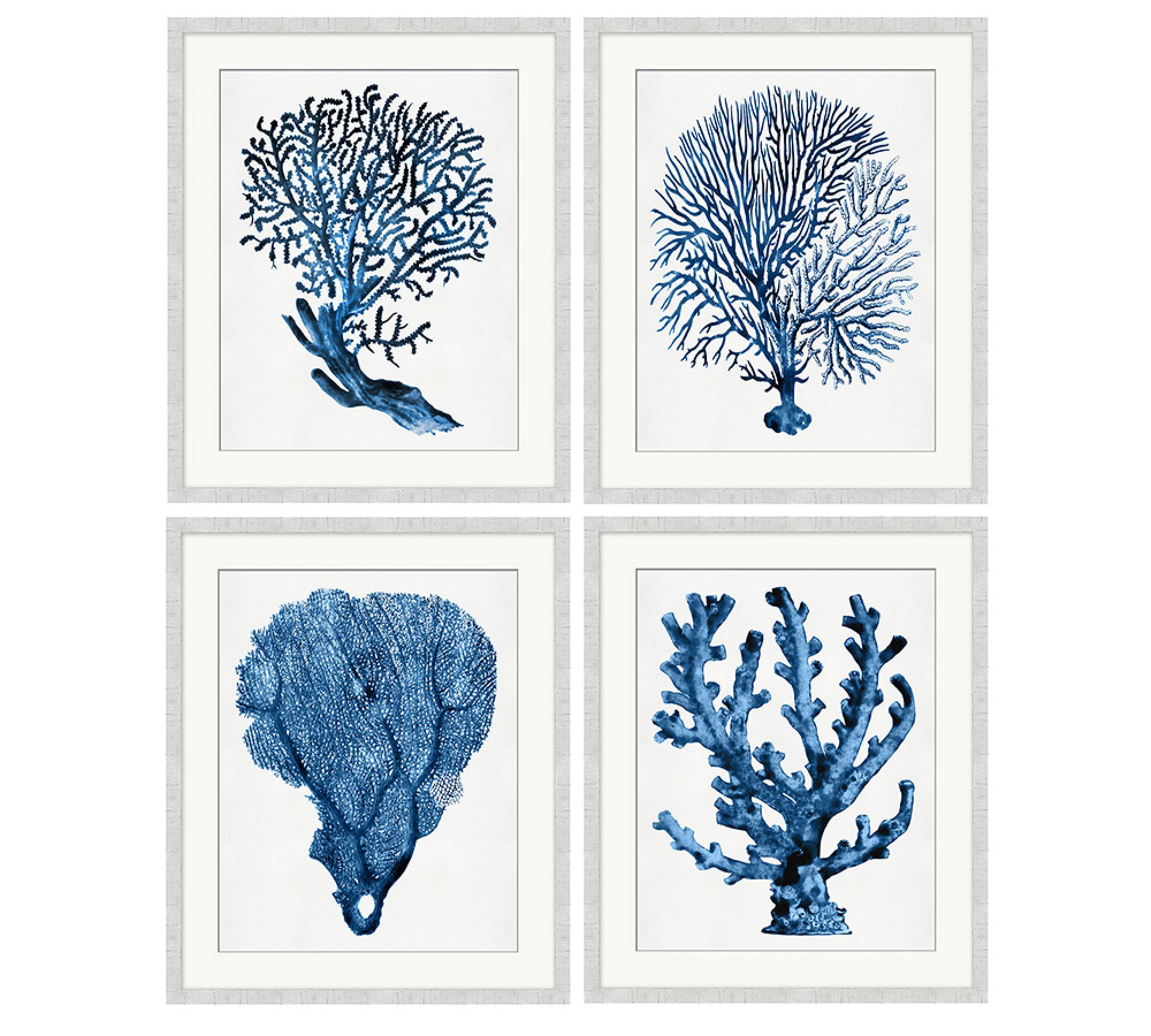 Coral Blue Framed Prints