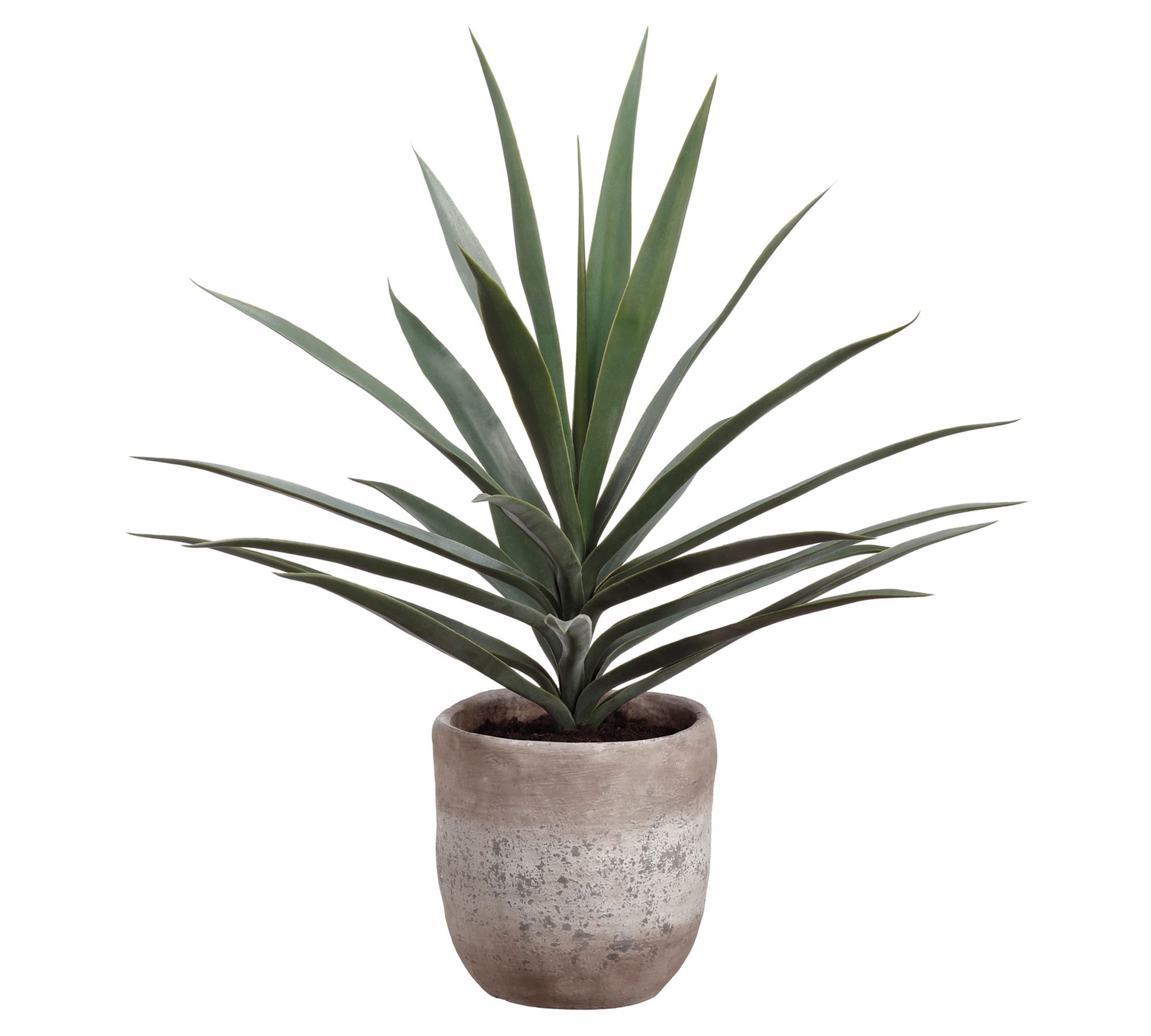 Faux Potted Yucca Plant