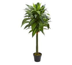 Dracaena Faux Plant | Pottery Barn