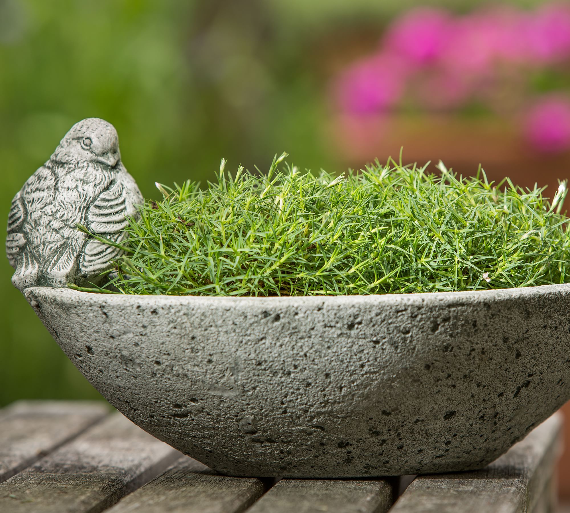 Amelie Bird Outdoor Planters