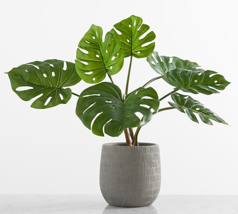 Brand New deals Hearth And Hand Faux Monstera Potter Plant