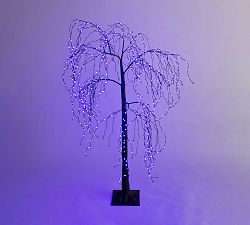 Lit Weeping Willow Tree