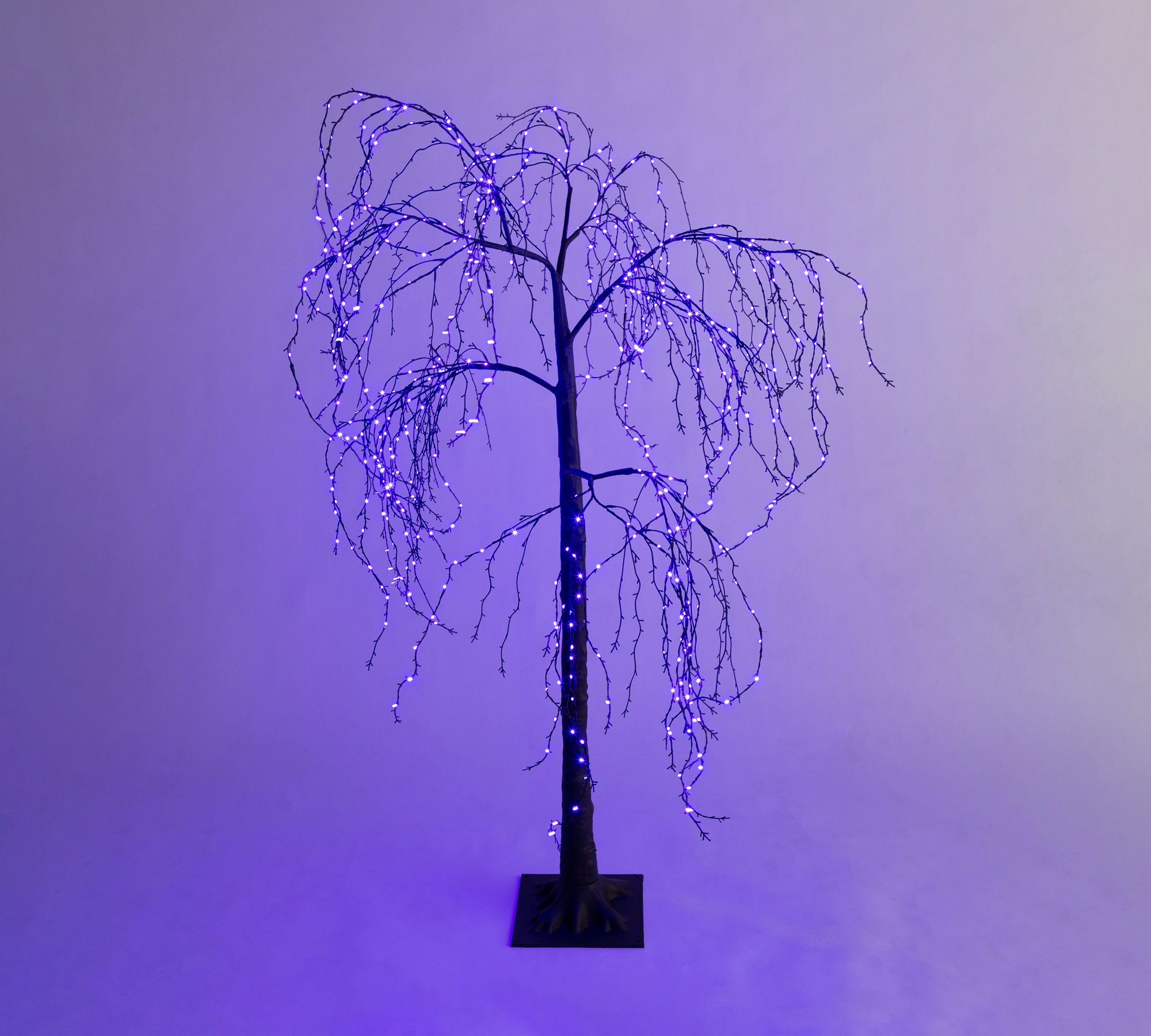 Lit Weeping Willow Tree