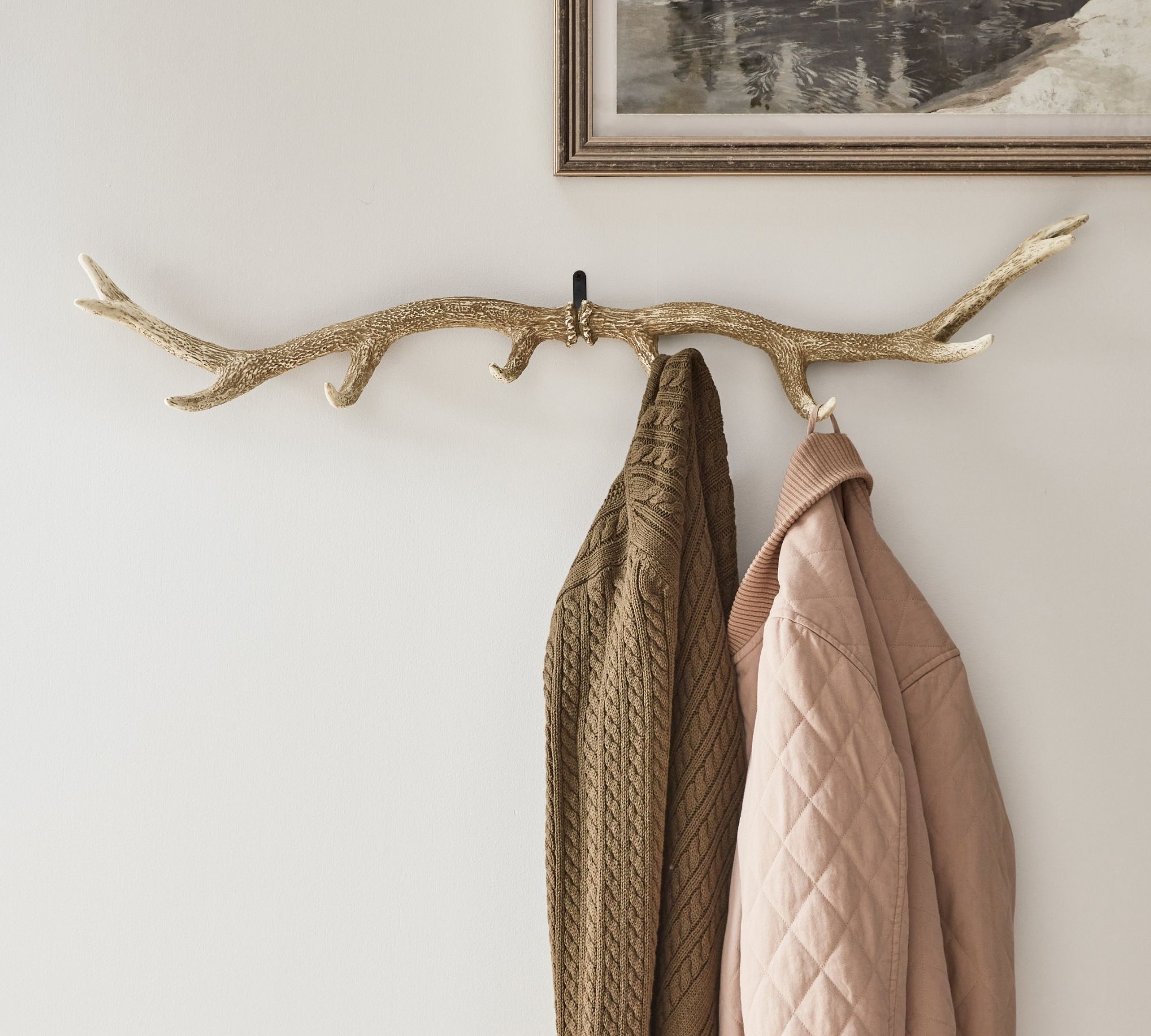 Antler Row of Hooks