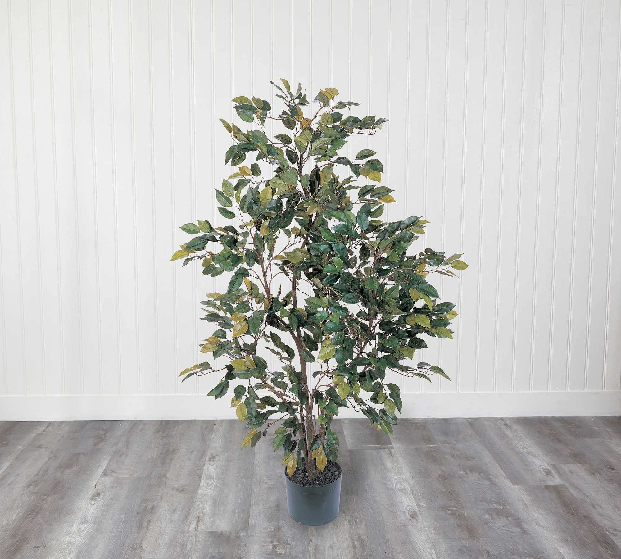 Faux Ficus Tree