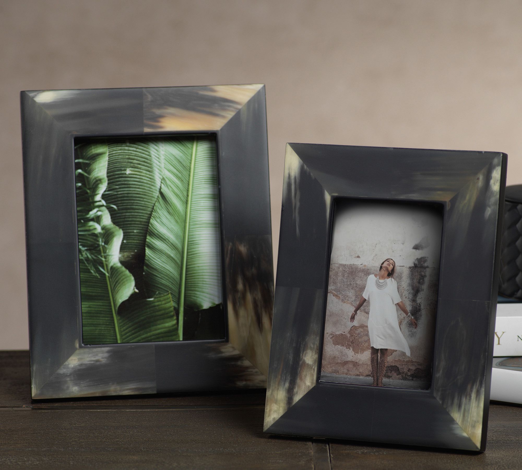 Black Horn Picture Frame