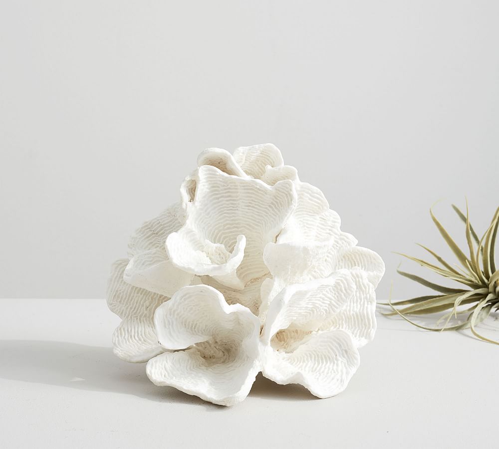 Faux White Wave Coral | Pottery Barn