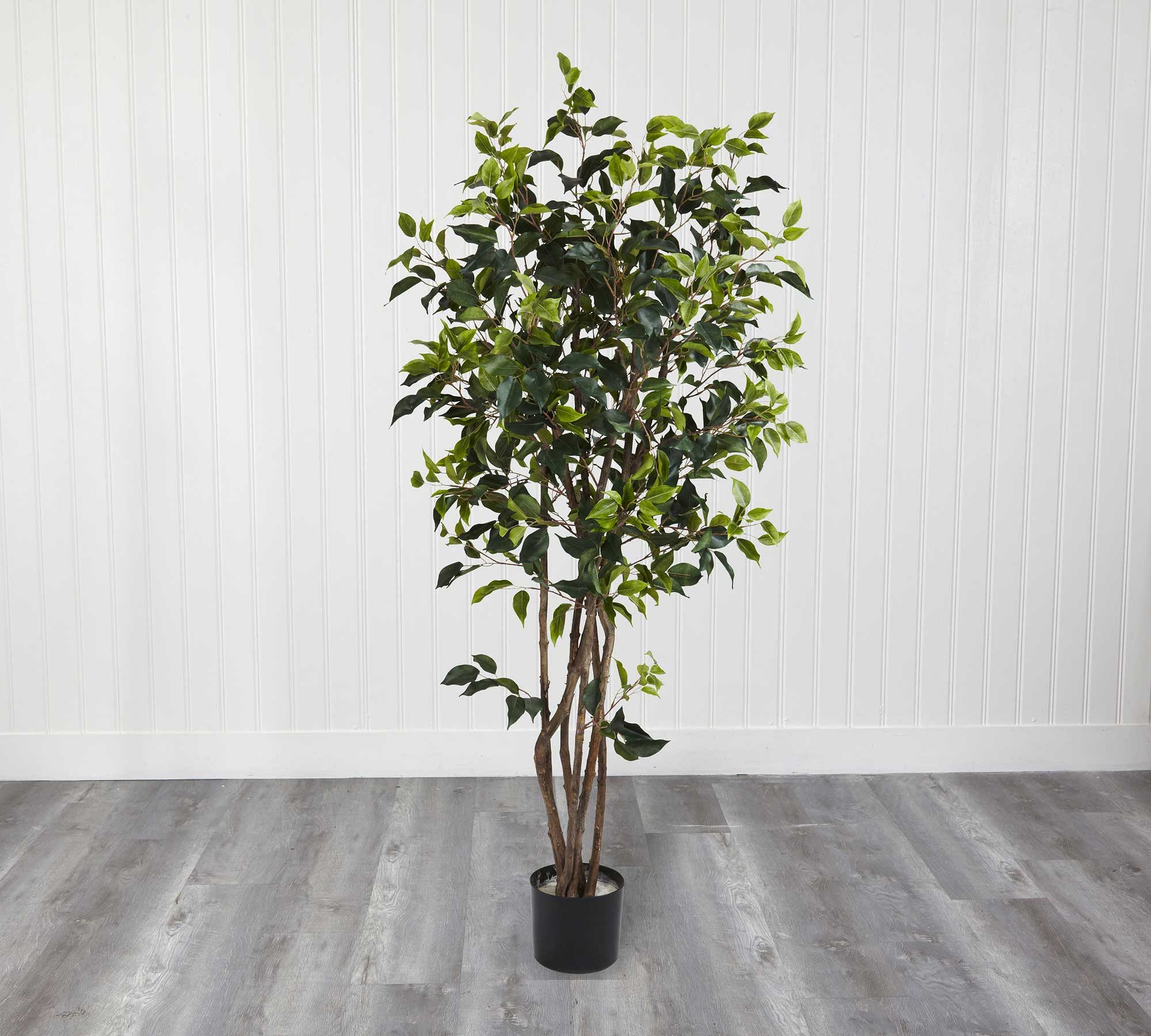 Faux Potted Ficus Bushy Tree