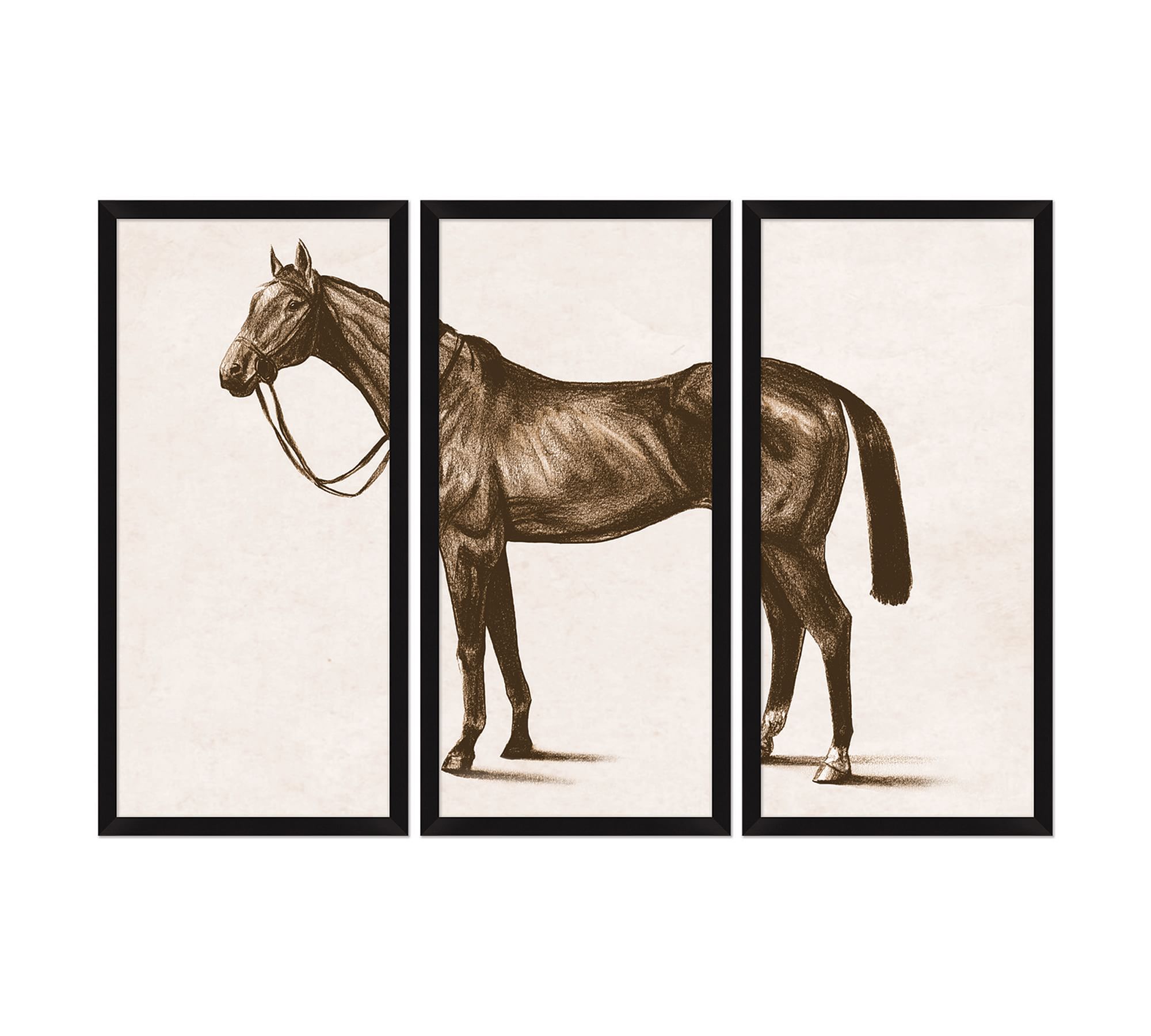 Horse Triptych by The Artists Studio