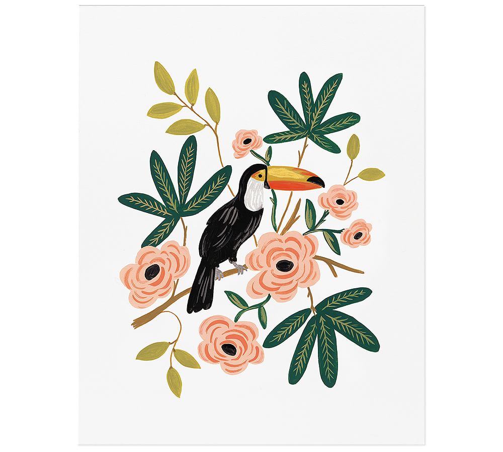 Toucan by Rifle Paper Co. | Pottery Barn