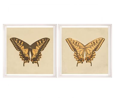 Chantal Butterflies Framed Prints | Pottery Barn