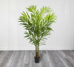 King Faux Palm Tree | Pottery Barn