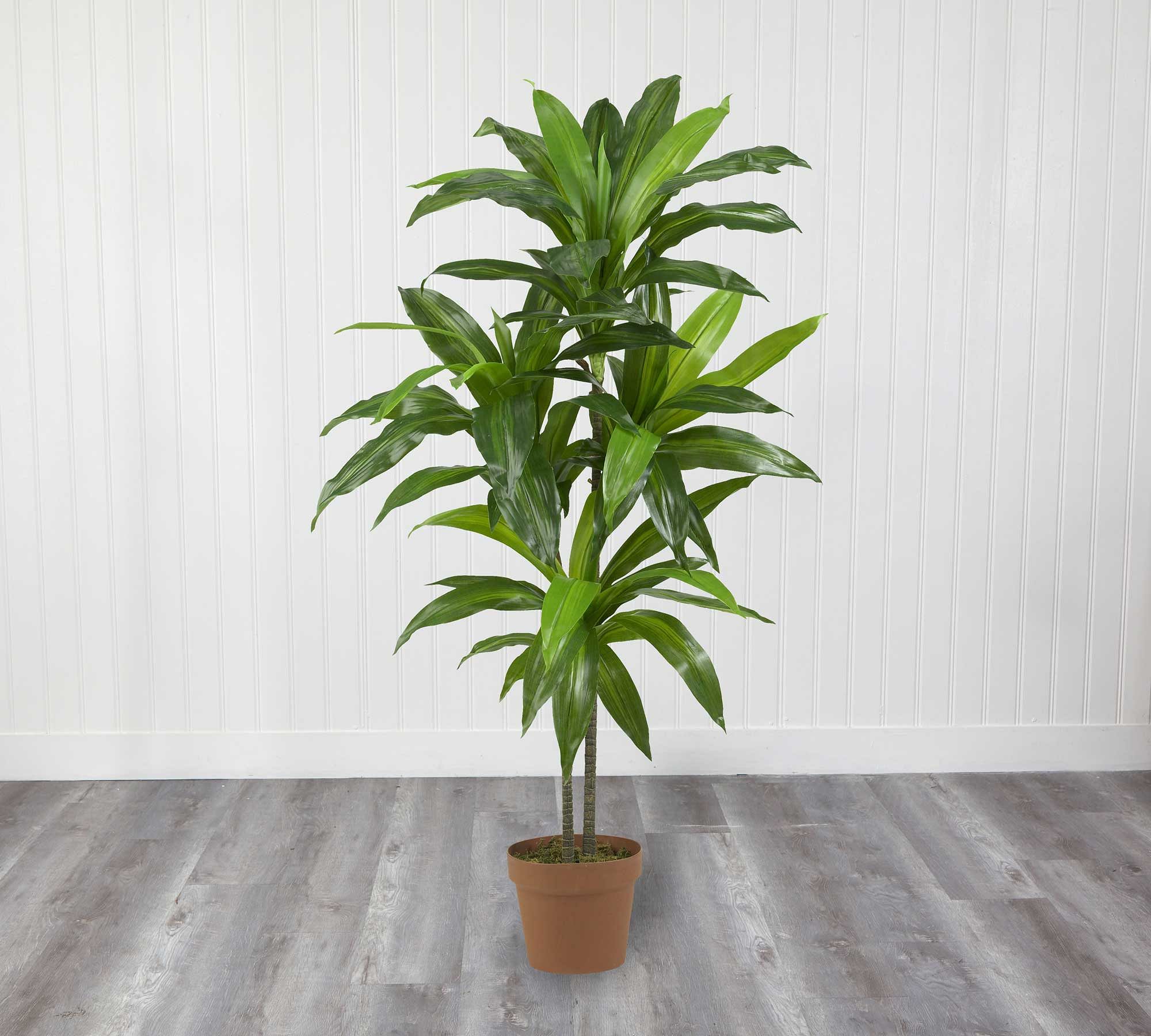 Faux Potted Dracaena Plant