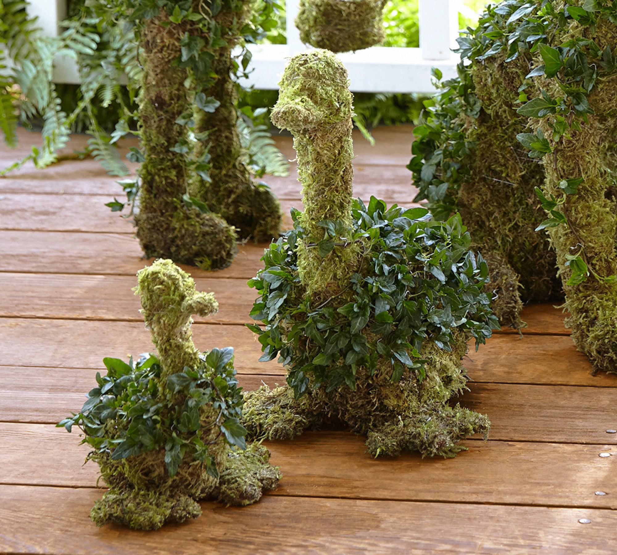 Fresh Ivy Duckling Topiaries