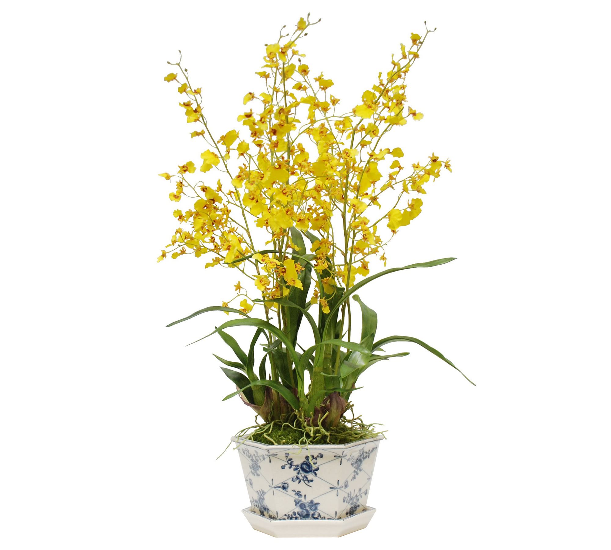 Faux Oncidium in Rose Trellis Cachepot