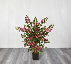 Bougainvillea Faux Tree | Pottery Barn