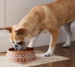 Gingerbread Pet Bowl