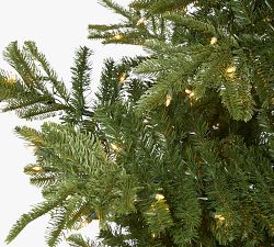 Lit Washington Spruce Faux Christmas Tree