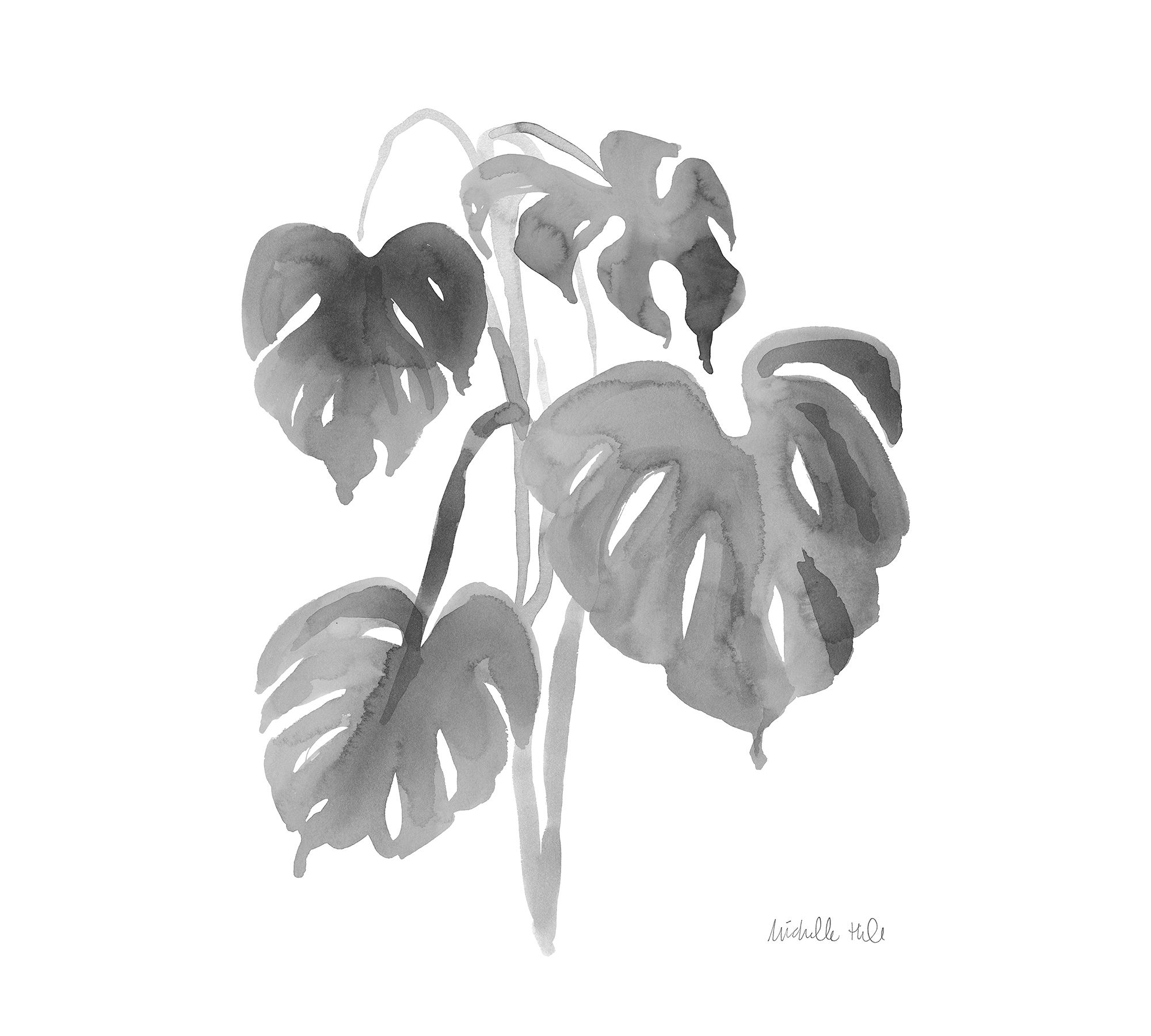 Graphite Monstera  by The Artists Studio