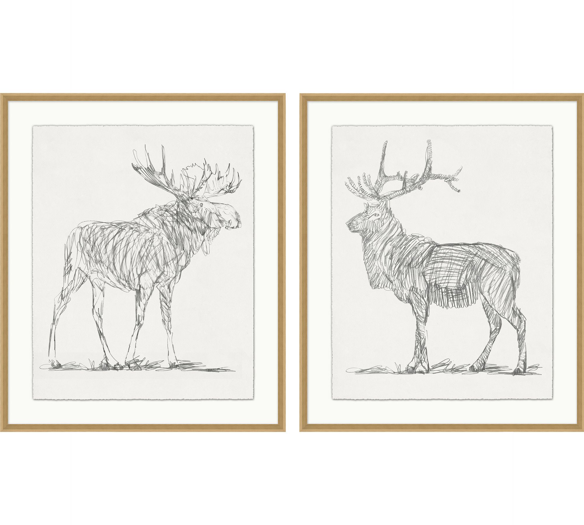 Moose & Elk Gesture Framed Print