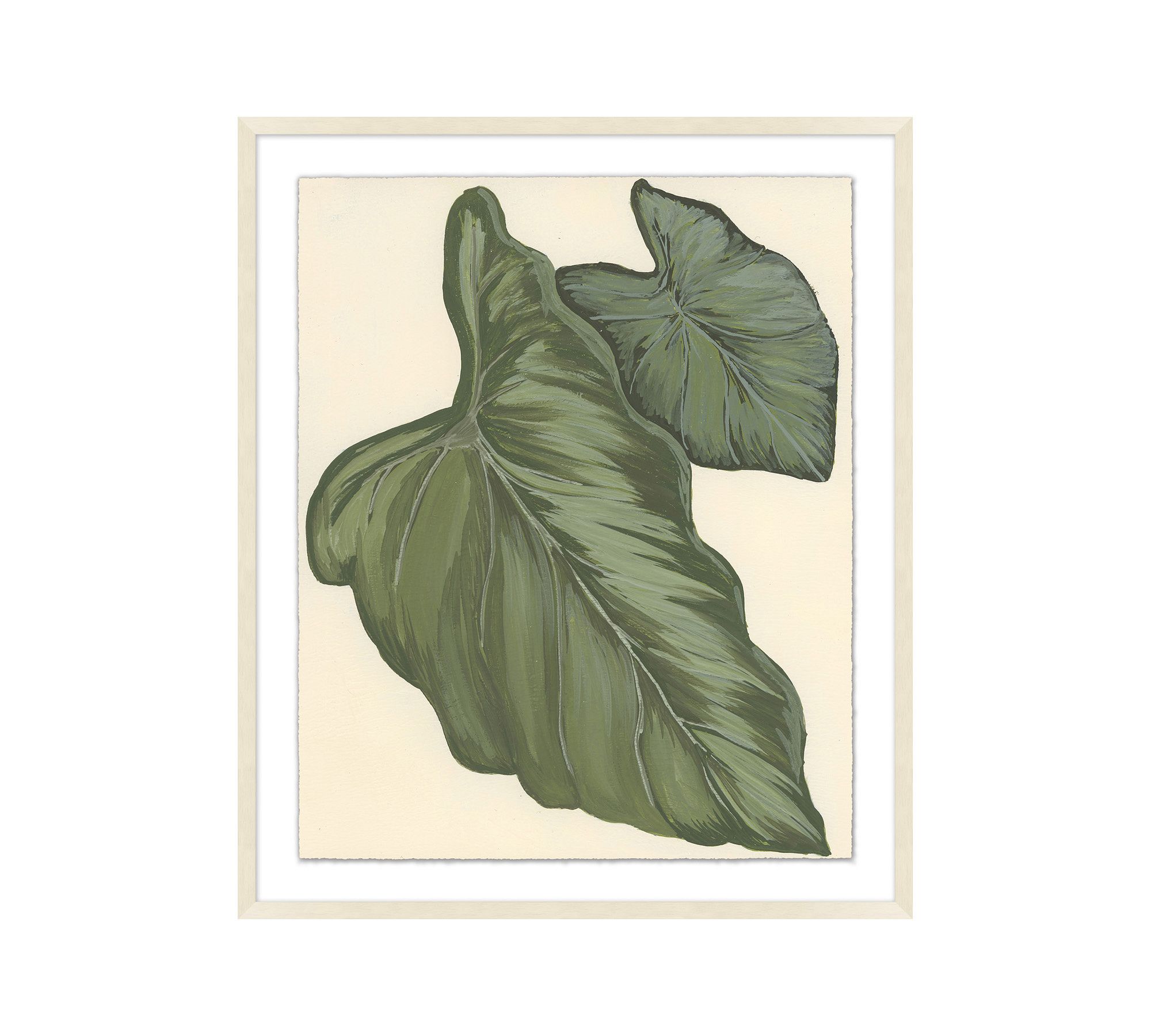 Philodendron Leaf Framed Print